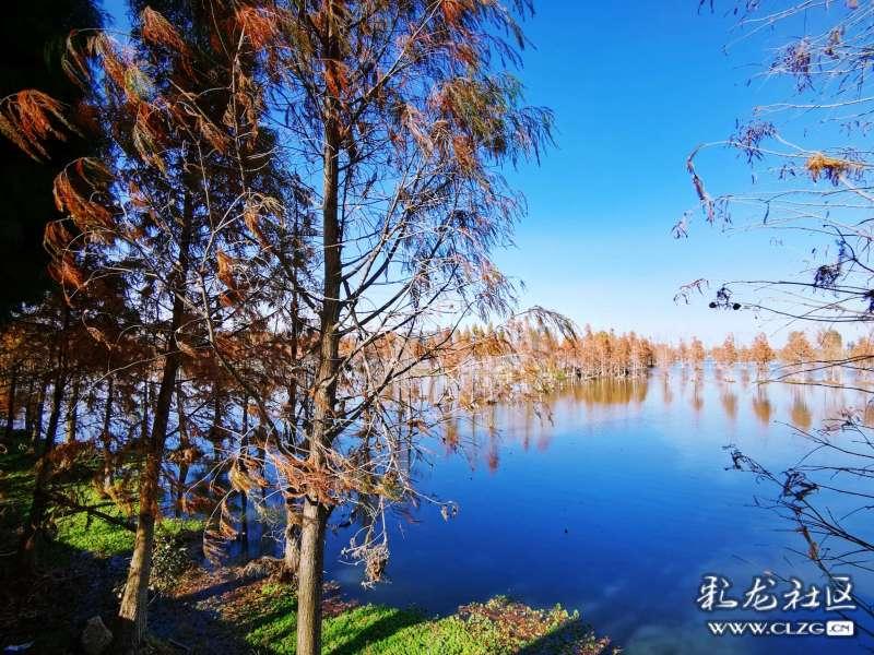 戳泡泡练口算