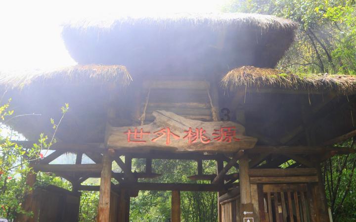 泰拉瑞亚