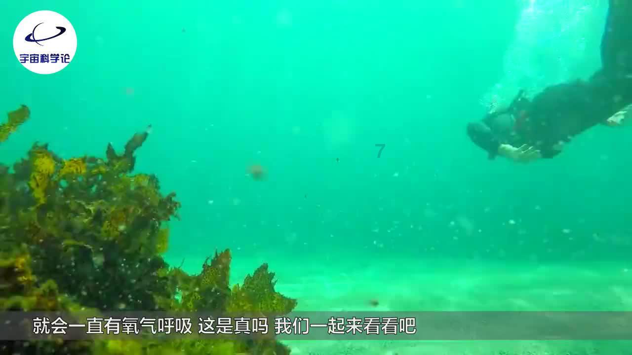 中高协第四届会员代表大会二次会议暨四次全委会在重庆召开