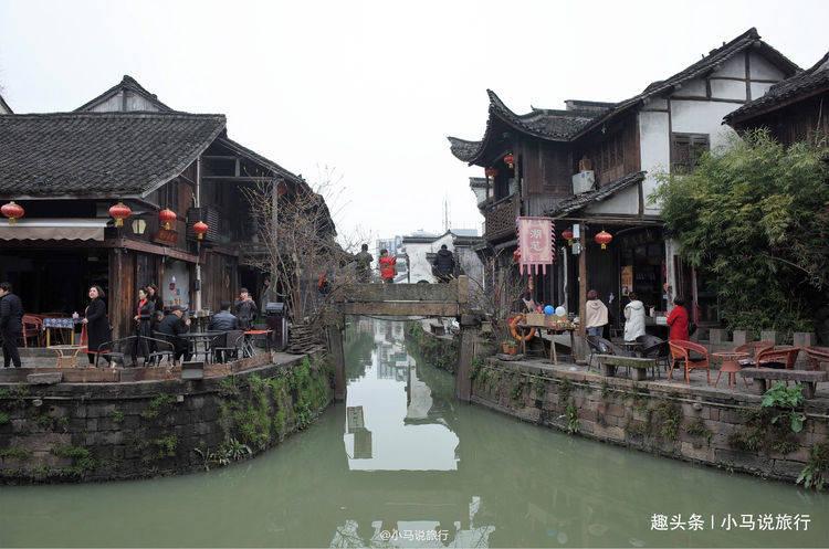 动物帮帮忙保卫家园